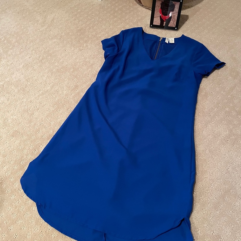 Japna 100% Polyester Dress